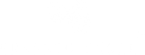 Ernesto-Engel-artista-misiones-argentina-logo-hero
