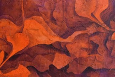 003--Variaciones-sobre-la-flor-del-chivato-III-50-x-100-ADQUIRIDO-por-FUNDACION-MEDITERRÁNEA-Gerardo-Schuarz