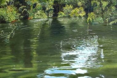 obra-de-arte-compra-venta-misiones-argentina-antes-de-la-caida-3