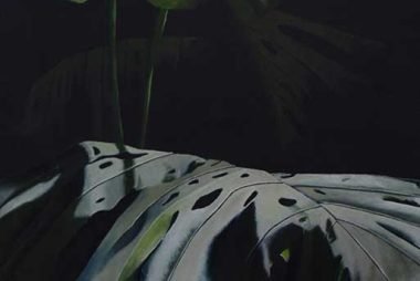 obra-de-arte-compra-venta-misiones-argentina-variaciones-sobre-guembe-4